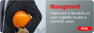 icon-management